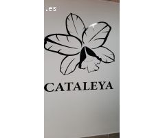 Local Comercial en Alquiler en Albacete, Albacete