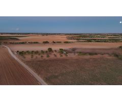  en Venta en Roda (La), Albacete
