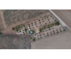  en Venta en Roda (La), Albacete