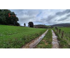 TERRENO RUSTICO EN HAZAS DE CESTO.