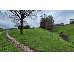 TERRENO RUSTICO EN HAZAS DE CESTO.