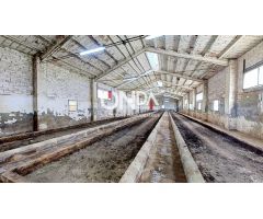Naves más campo con casi 7.000m2