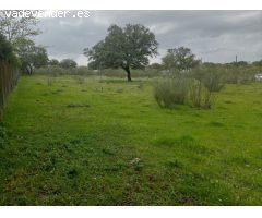 ???? ¡Magnífica parcela urbana en la Urb. Sierra Norte – Castilblanco de los Arroyos! ????