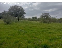 ???? ¡Magnífica parcela urbana en la Urb. Sierra Norte – Castilblanco de los Arroyos! ????