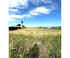 ???? ¡Oportunidad Única en Guillena! ???? Terreno de 10.000 m² para Invertir o Soñar ????