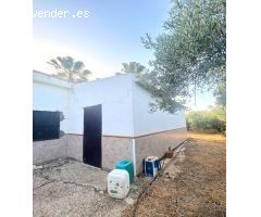 ???? ¡Tu Paraíso entre Olivos te Espera en Alcolea del Río! ????????