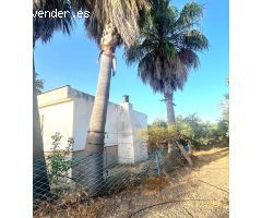 ???? ¡Tu Paraíso entre Olivos te Espera en Alcolea del Río! ????????