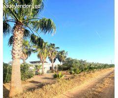 ???? ¡Tu Paraíso entre Olivos te Espera en Alcolea del Río! ????????