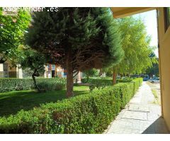 Local en alquiler