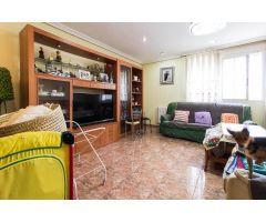 Chalet con piscina y gran parcela en plena huerta de La Albatalía (Murcia)