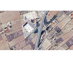 Finca rústica con edificación, olivos y frutales en Las Carreras, Pliego (Murcia) – 1.520 m²