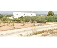 Finca rústica con edificación, olivos y frutales en Las Carreras, Pliego (Murcia) – 1.520 m²