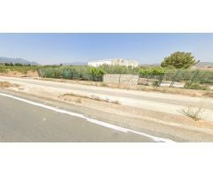 Finca rústica con edificación, olivos y frutales en Las Carreras, Pliego (Murcia) – 1.520 m²