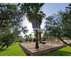 Magnifico chalet a la venta en zona el Pilar