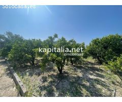 Chalet con inmejorables vistas en Bixquert