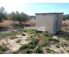 PARCELAS A LA VENTA EN LOS TERMINOS DE ONTINYENT Y AGULLENT, ZONA CALS XOPS Y CAL CANONGE