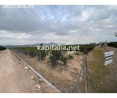 TERRENO RUSTICO CON CASETA DE APEROS, A LA VENTA EN XATIVA