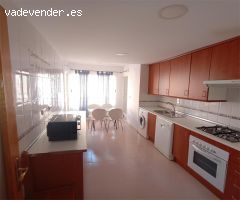 Amplia vivienda en la zona del Palmeral.