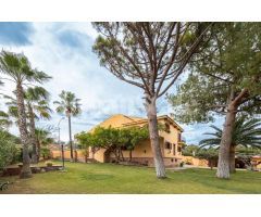 Chalet en Naquera
