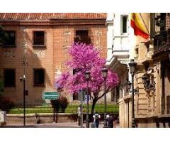 Piso en Venta en Madrid de las Caderechas, Madrid