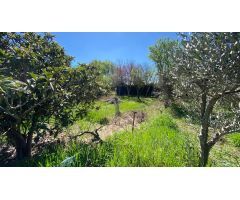 Parcela urbana en Grañén de 800m ideal para vivienda