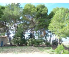 Casa de campo a la venta en Albaida