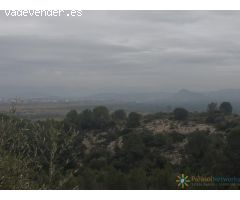 Parcela urbana en venta en Alberique