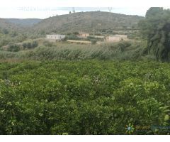 Terreno de venta en Sellent