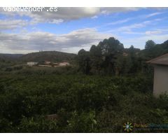 Terreno de venta en Sellent