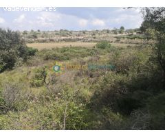 Terreno en venta en Castellon de Rugat
