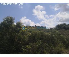 Terreno en venta en Castellon de Rugat