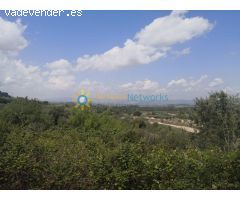 Terreno en venta en Castellon de Rugat