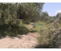 Terreno en venta en Castellon de Rugat