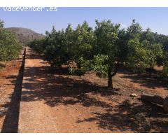 Terreno rústico en venta en Olvia