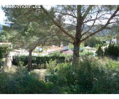 Terreno en venta en Oliva