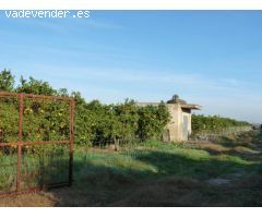 Parcela en Venta en El Olivar, Valencia