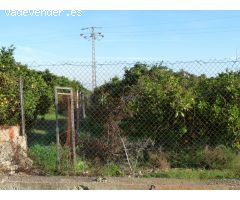Parcela en Venta en El Olivar, Valencia