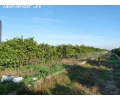 Parcela en Venta en El Olivar, Valencia