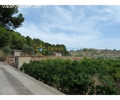 Terreno a la venta en Real de Gandia