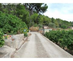 Terreno a la venta en Real de Gandia