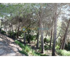 Terreno en venta en Oliva