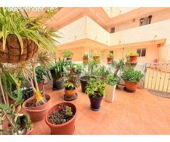 APARTAMENTO EN EL ALBIR