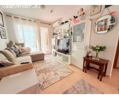 APARTAMENTO EN EL ALBIR