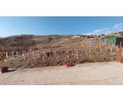 EN VENTA TERRENO URBANO CON LICENCIA Y PROYECTO EN PERALES DE TAJUÑA