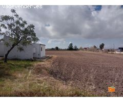 FINCA RUSTICA DE ARROZALES CON CASA EN PLANTA BAJA EN VENTA EN SANT JAUME DENVEJA (TARRAGONA)