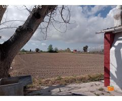 FINCA RUSTICA DE ARROZALES CON CASA EN PLANTA BAJA EN VENTA EN SANT JAUME DENVEJA (TARRAGONA)
