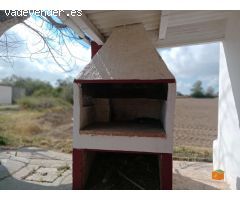 FINCA RUSTICA DE ARROZALES CON CASA EN PLANTA BAJA EN VENTA EN SANT JAUME DENVEJA (TARRAGONA)