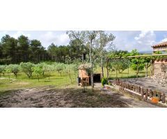 FINCA RUSTICA CON CASA DE PIEDRA EN PLANTA BAJA EN VENTA EN EL PERELLO (TARRAGONA)