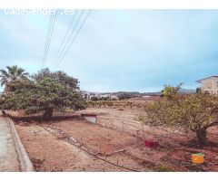 NAVE EN ALQUILER EN MASDENVERGE (TARRAGONA)