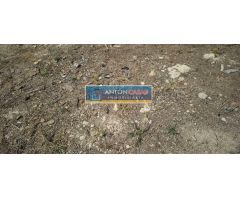 VENTA DE 3 SOLARES EN NOVELDA